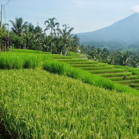 Zen Rooms Badung Nyangnyang Sari Kuta  Luaran gambar
